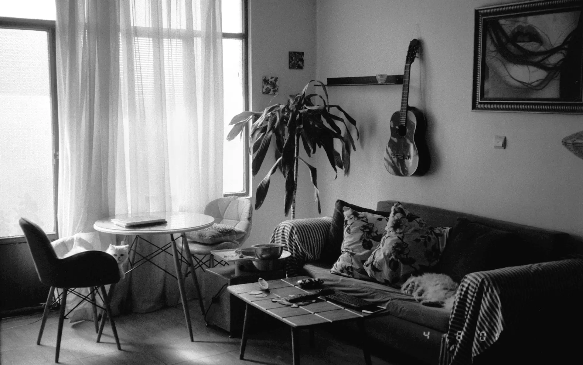 maral-rezaei-BKdRJMkPJWc-unsplash