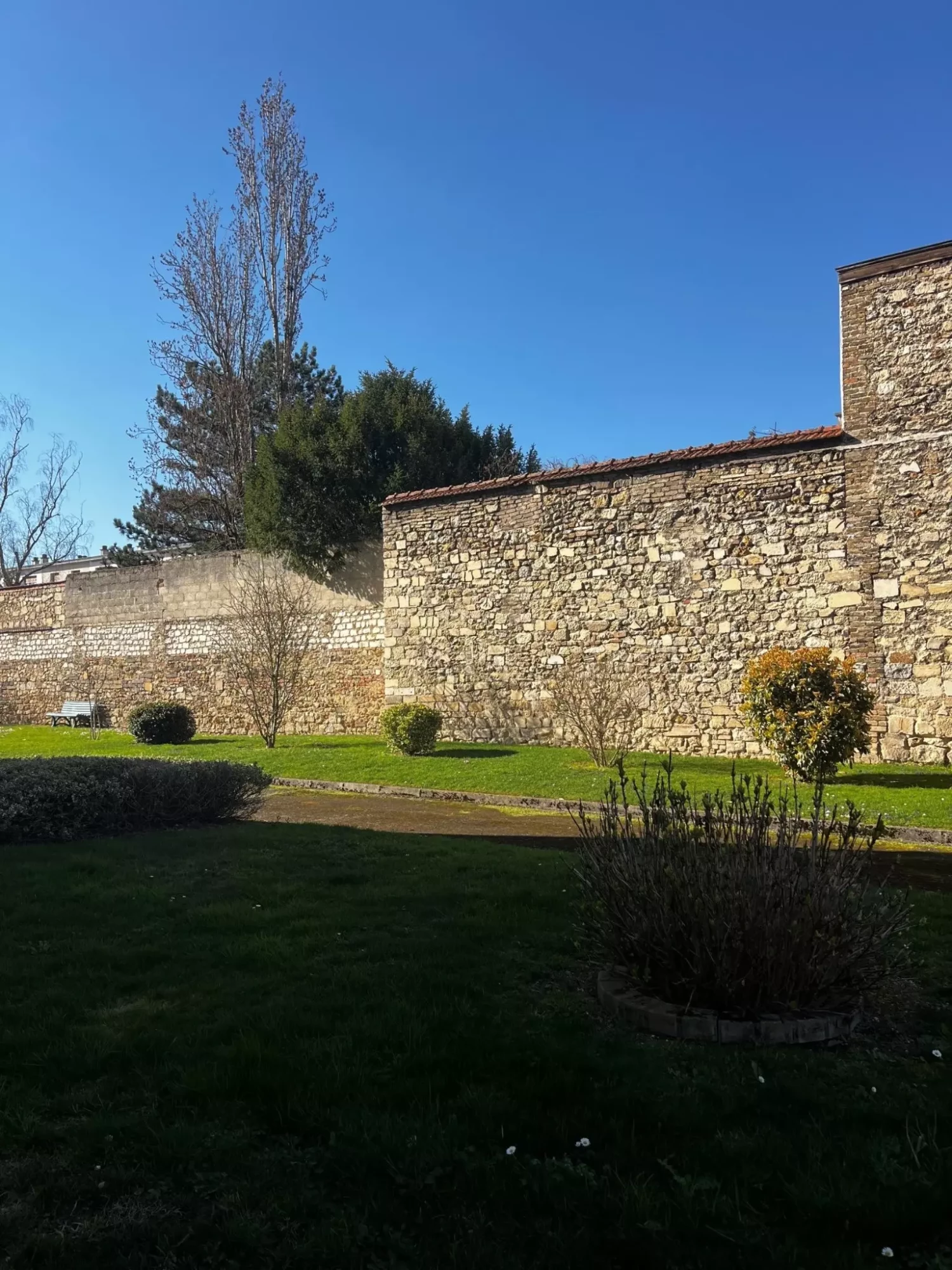 Photo jardin_moisson-reims